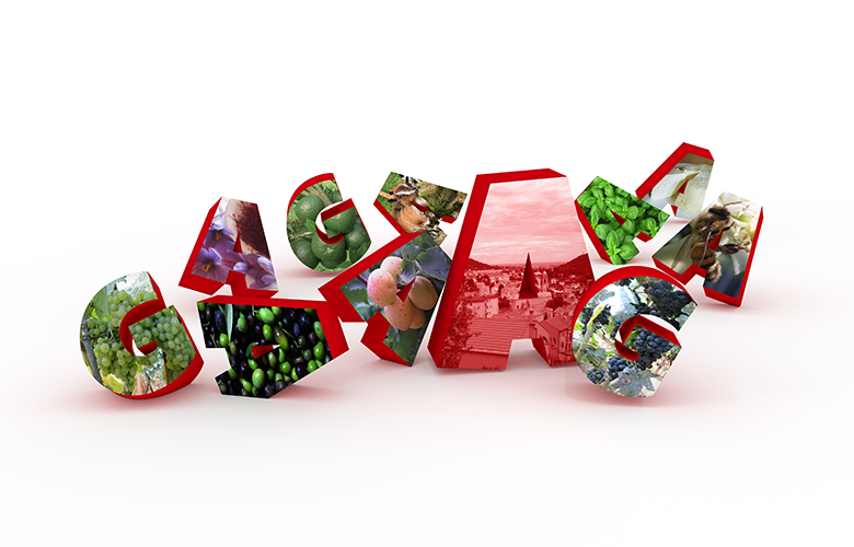 Logo Brochure